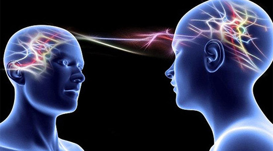 Beş Duyu Organımız Nelerdir?