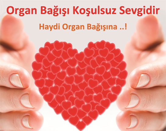 Doku ve Organ Bağışı Nedir?